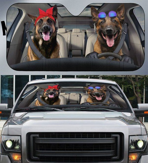 Belgian Malinois Car Sunshade Gift Ideas 2022