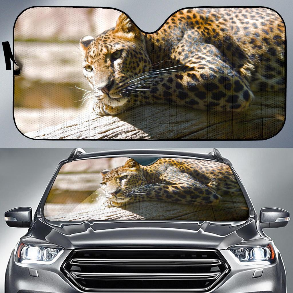 Leopard Fuengirola Zoo Spain Hd Car Sun Shade Gift Ideas 2022