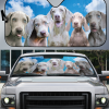 Weimaraners Auto Sun Shade Amazing Best Gift Ideas 2021