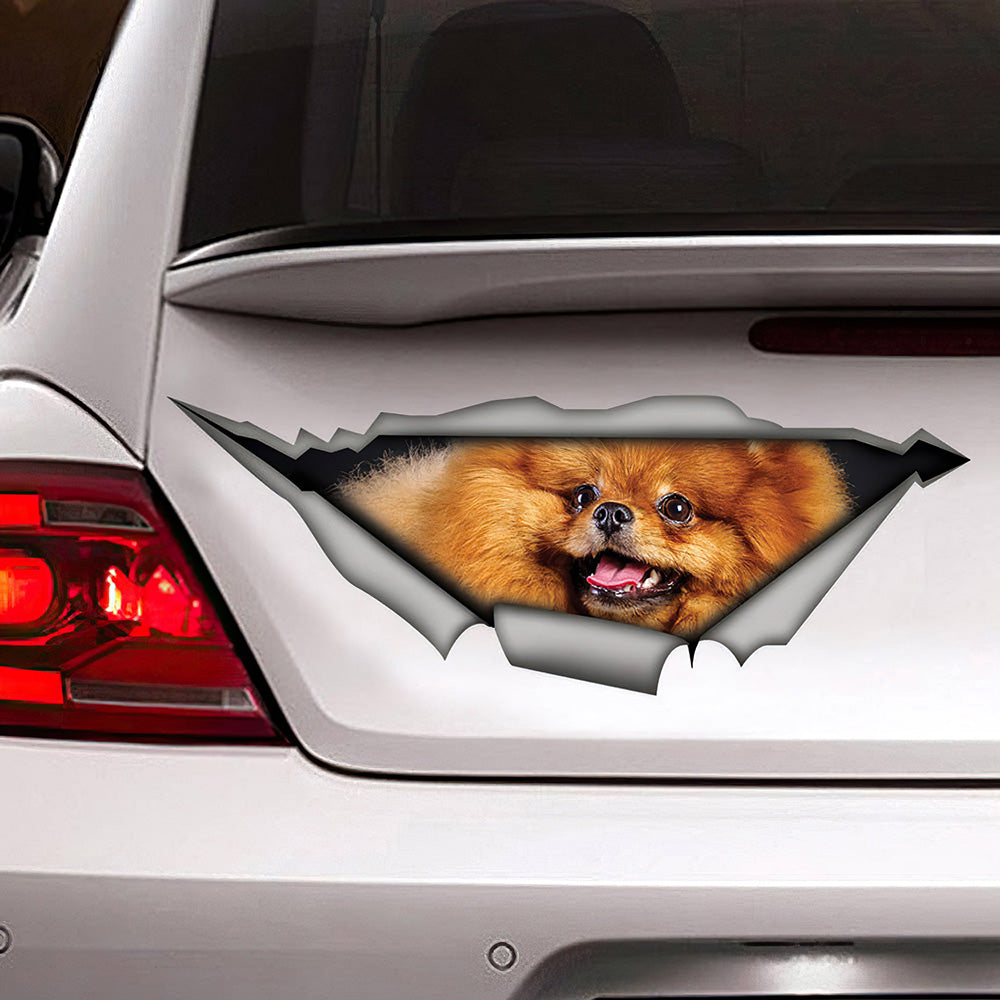 Best Omeranian Sticker Car 3D Stickers Decal Car Accessories Car Decoration Amazing Gift Idea