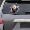 Best Opossum Window Car 3D Stickers Decal Car Accessories Car Decoration Amazing Gift Idea