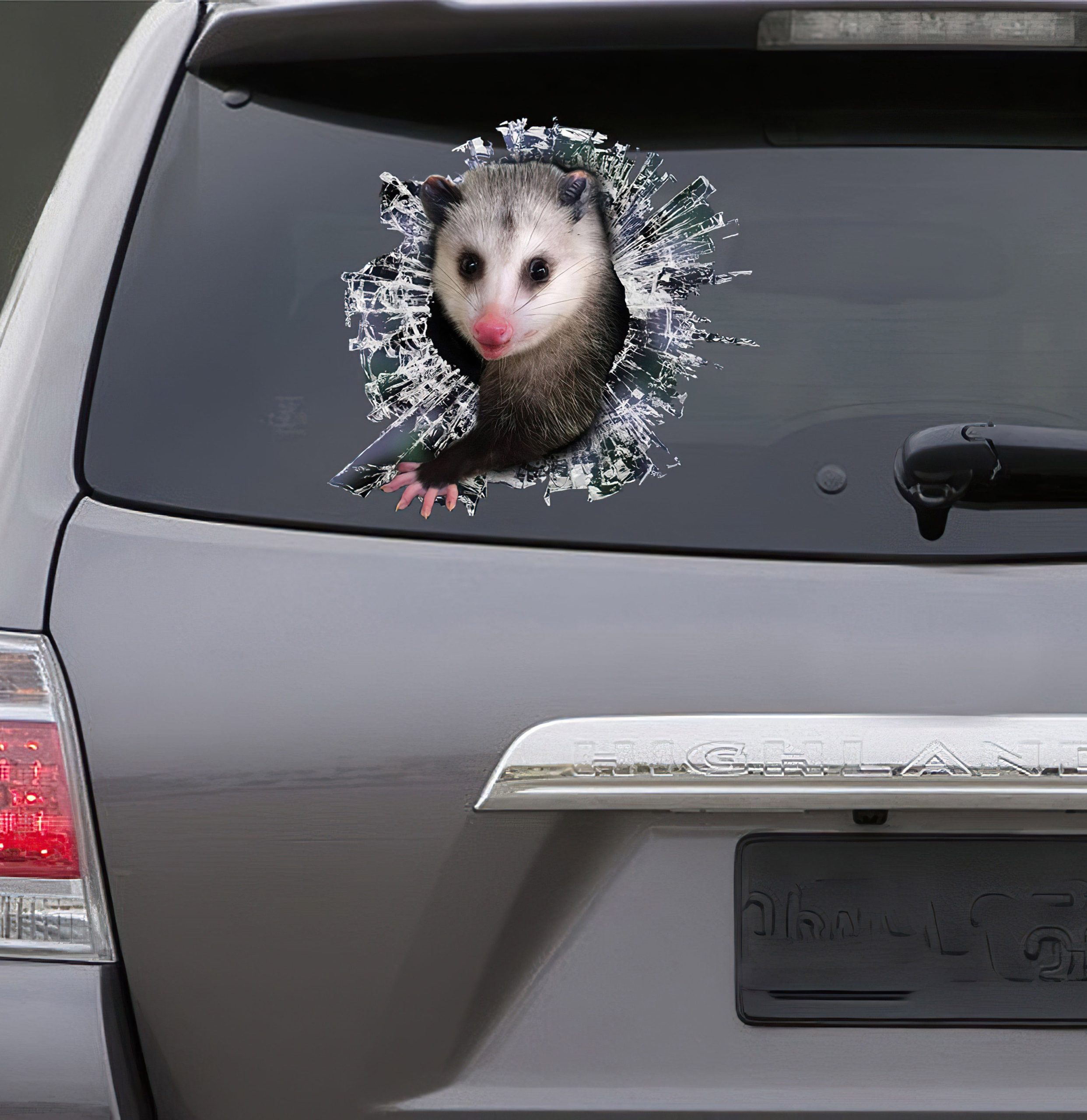 Best Opossum Window Car 3D Stickers Decal Car Accessories Car Decoration Amazing Gift Idea