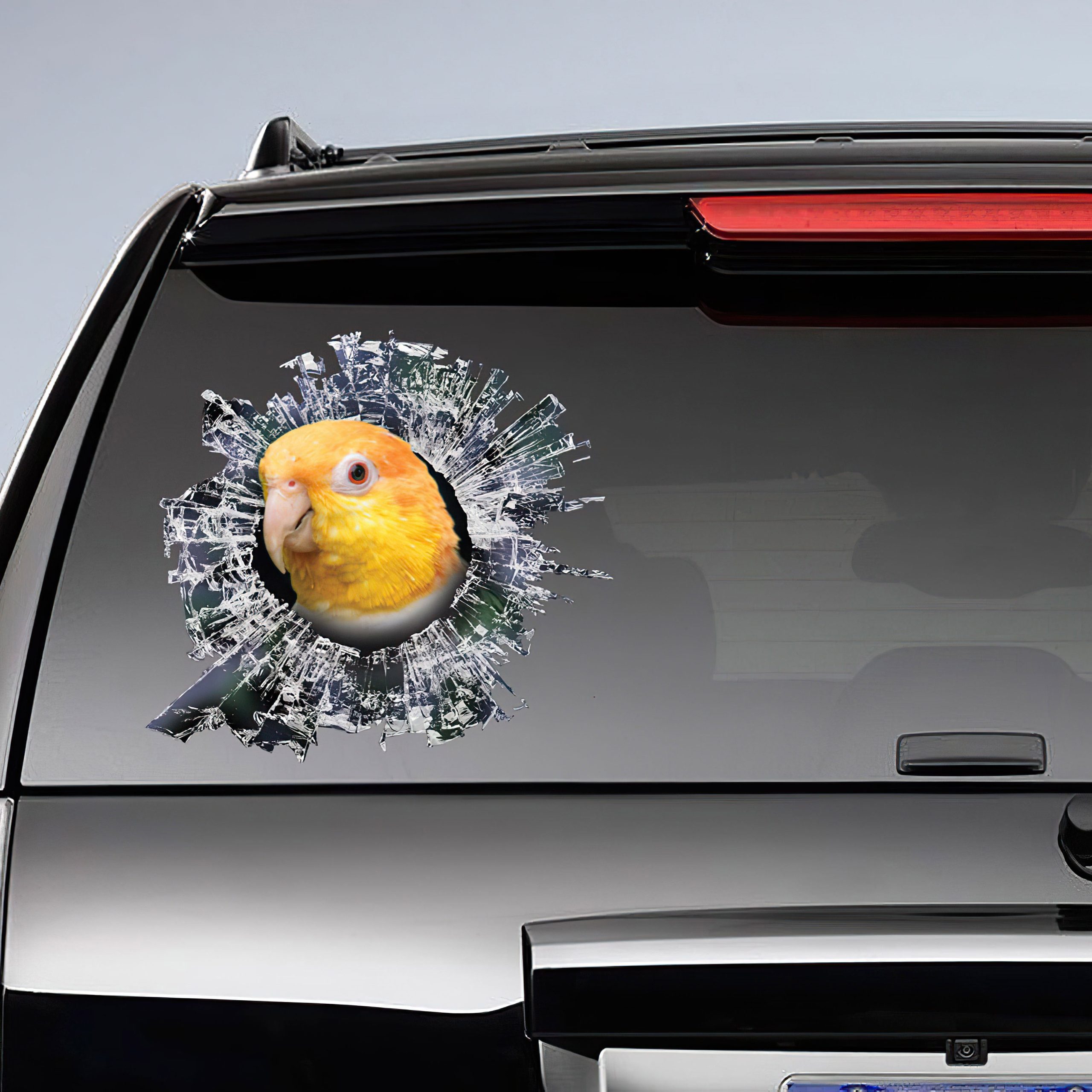 Best Rusty Caique Window Car 3D Stickers Decal Car Accessories Car Decoration Amazing Gift Idea