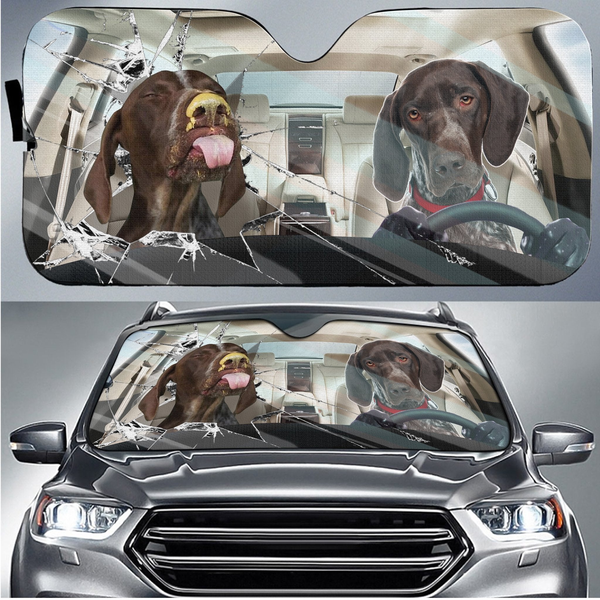 Shorthaired Pointer Broken Glass Funny Carshade Gift Ideas 2021