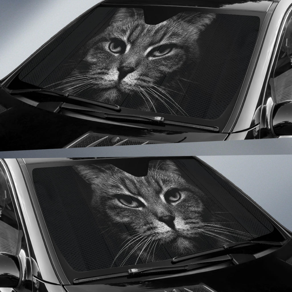 Cat Eyes Car Sun Shades