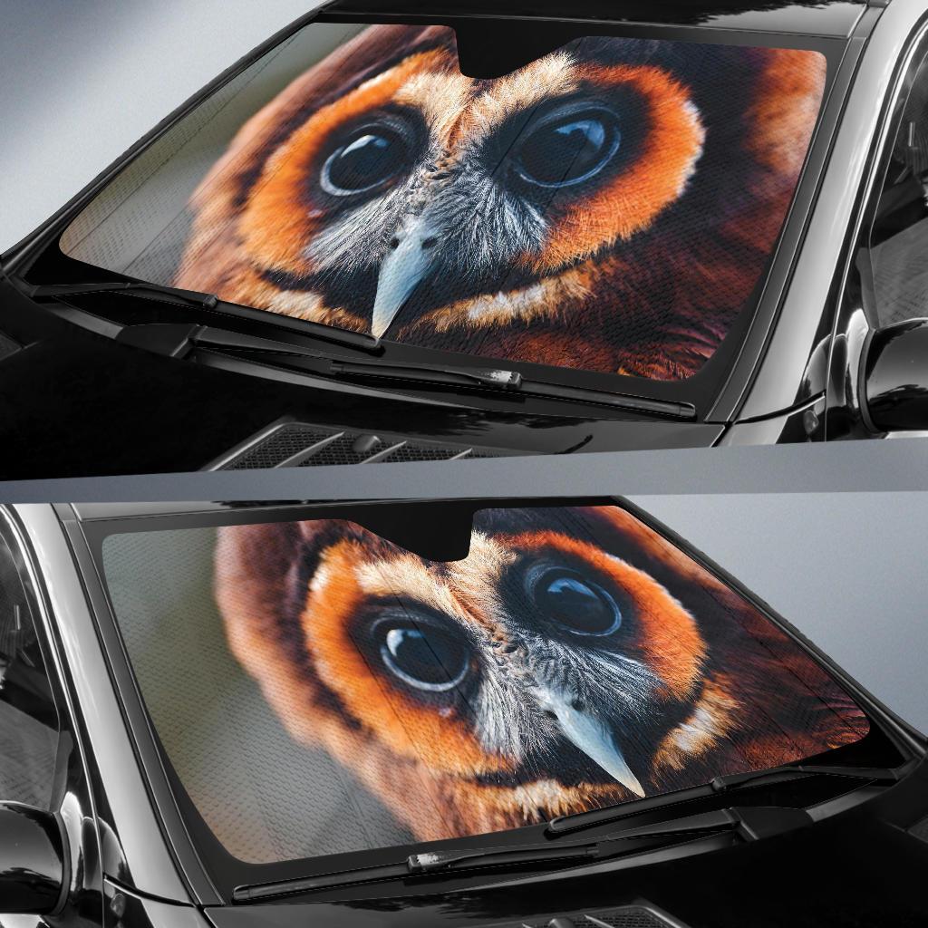 Great Owl Eyes Car Sun Shades Amazing Best Gift Ideas 2022